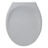 Armitage Shanks Astra Top Fix WC Toilet Seat And Cover - Heavy Duty -Duravit Store M 2016 1 18 6 28 23 787