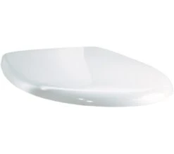 Twyford Galerie White Toilet Seat And Cover With Bottom Fix Stainless Steel Hinges -Duravit Store M 2016 3 18 5 37 34 404