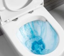 Tavistock Orbit Comfortable Back To Wall White WC With Soft Close Seat -Duravit Store M 2017 1 23 10 10 11 440