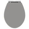 Hudson Reed Old London Richmond Soft Close Toilet Seat -Duravit Store M 2019 3 13 12 59 7 10