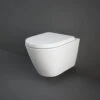 Rak Resort Wall Hung WC Pan With Soft Close Seat -Duravit Store M 2019 7 15 7 31 16 270