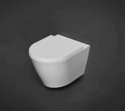 RAK Resort Rimless Wall Hung Pan With Hidden Fixations -Duravit Store M 2020 3 23 6 10 47 944