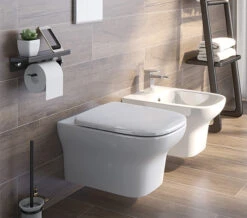 IMEX Grace Rimless Wall Hung White WC Bowl And Soft Close Seat 500mm