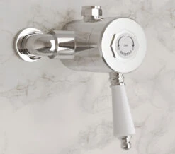 Bristan 1901 Thermostatic Exposed Single Control Shower Valve