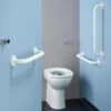 Armitage Shanks Doc M Contour 21+ Rimless Back To Wall WC Pack -Duravit Store M700 2022 4 7 9 35 51 523