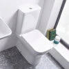 Tavistock Structure Comfort Height White Pan And Cistern 2 Tavistock Structure Comfort Height White Pan And Cistern -Duravit Store M700 2022 6 15 11 13 9 261