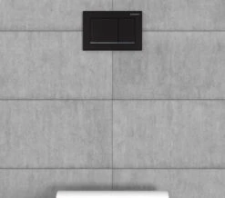 Geberit Omega30 212 X 142mm Dual Flush Plate