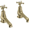 Burlington 5 Inch Basin Pillar Taps With Claremont Handles 2 Burlington 5 Inch Basin Pillar Taps With Claremont Handles -Duravit Store M700 2023 1 30 11 1 17 827