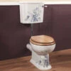 Silverdale Victorian Blue Garden Low Level WC And Cistern With Fittings -Duravit Store M700 2023 3 11 6 53 17 302